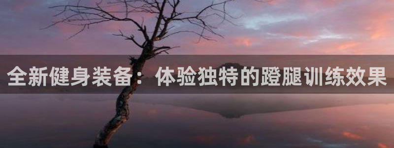 凯捷体育官方：全新健身装备：体验独特的蹬腿训练效果