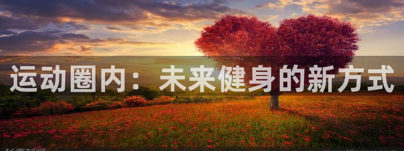 海南凯捷体育：运动圈内：未来健身的新方式