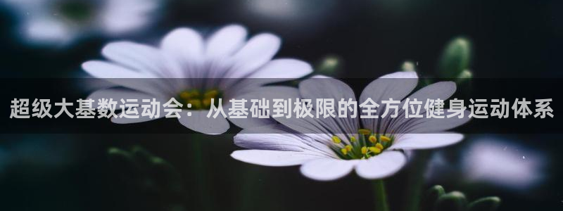 凯捷体育集团E.ON