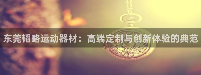 凯捷体育娱乐：东莞韬略运动器材：高端定制与创新体验的典范
