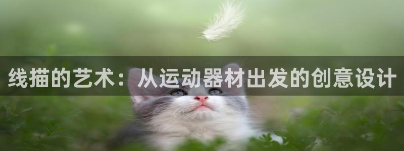 凯捷体育平台注册流程图：线描的艺术：从运动器材出发的创意设计