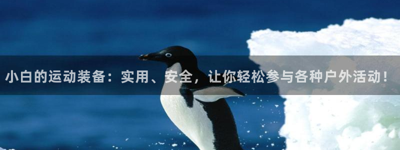 凯捷体育平台注册要钱吗安全吗：小白的运动装备：实用、安全，让