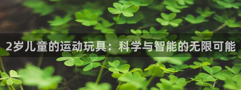 凯捷体育平台注册要钱吗安全吗：2岁儿童的运动玩具：科
