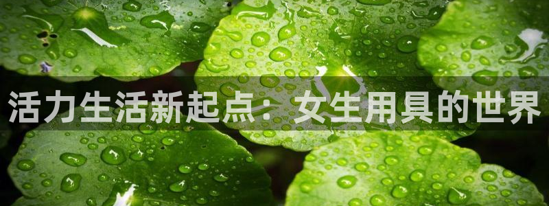 凯捷体育官网：活力生活新起点：女生用具的世界