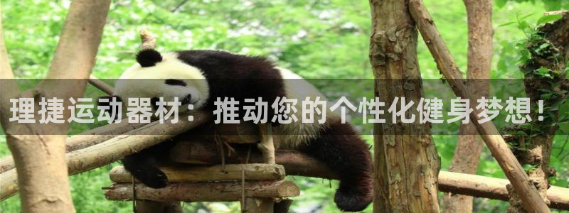 凯捷体育科技：理捷运动器材：推动您的个性化健身梦想！