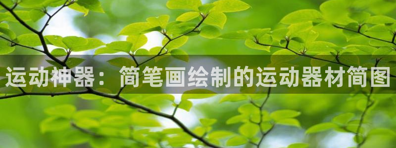 凯捷体育娱乐首页网站大全：运动神器：简笔画绘制的运动器材简图