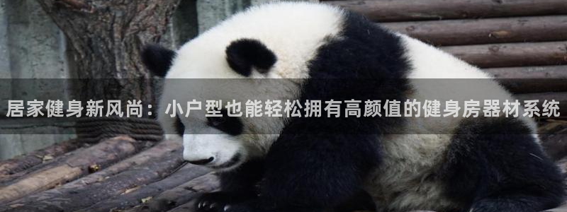 凯捷体育平台是正规平台吗知乎：居家健身新风尚：小户型也能轻松