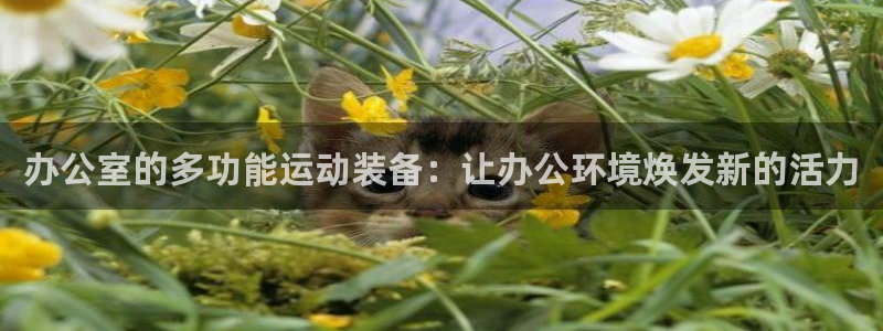 凯捷体育招商电话号码是多少号:办公室的多功能运动装备:让办公