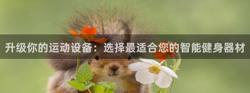 凯捷体育娱乐首页官网下载:升级你的运动设备:选择最适合您的智
